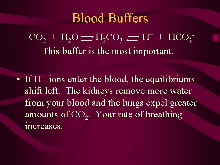 Blood Buffers CO 2 + H 2 O H 2 CO 3 H+ +