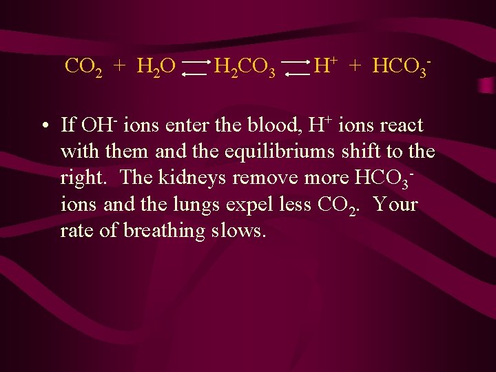 CO 2 + H 2 O H 2 CO 3 H+ + HCO 3