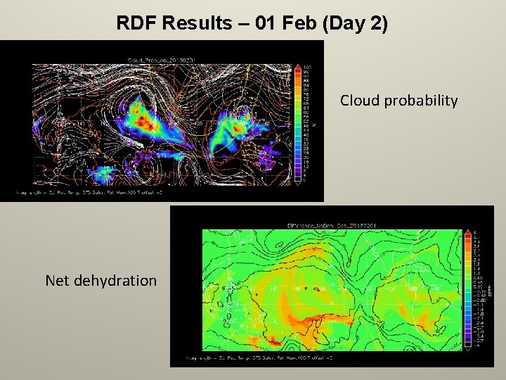 RDF Results – 01 Feb (Day 2) Cloud probability Net dehydration 