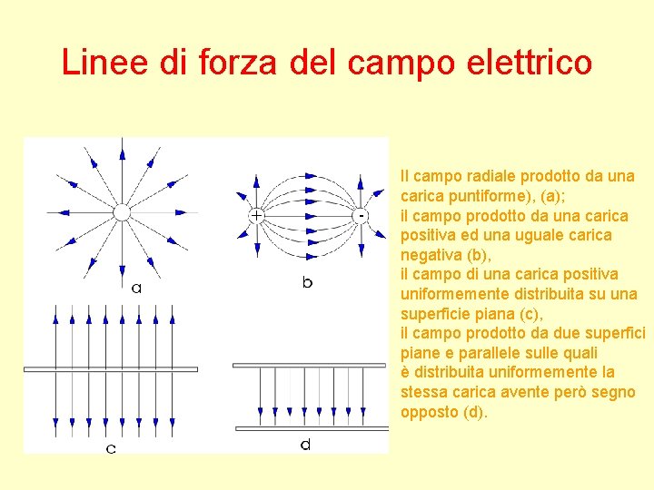 Linee di forza del campo elettrico Il campo radiale prodotto da una carica puntiforme),
