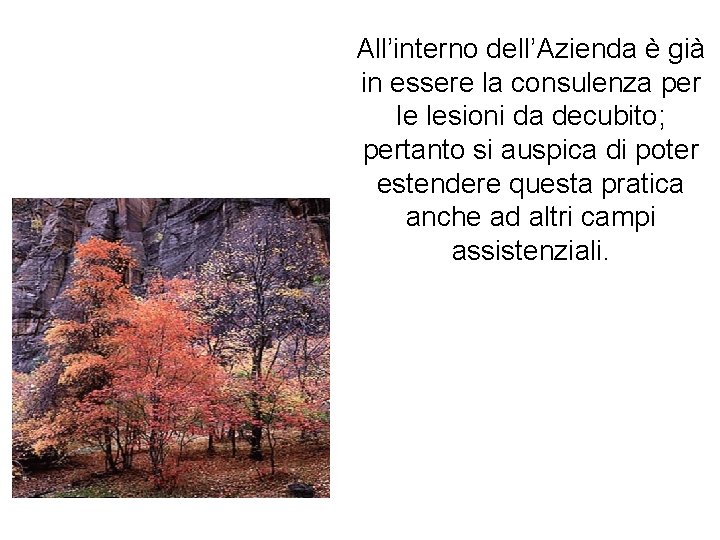 All’interno dell’Azienda è già in essere la consulenza per le lesioni da decubito; pertanto