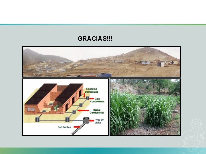 GRACIAS!!! 