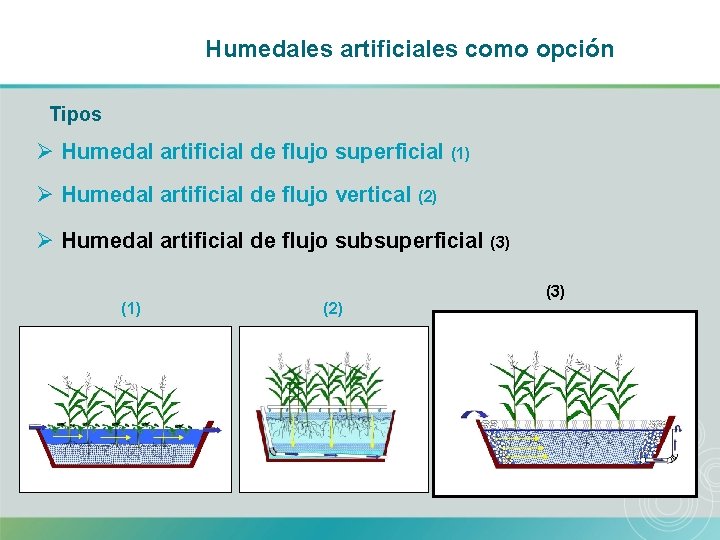 Humedales artificiales como opción Tipos Ø Humedal artificial de flujo superficial (1) Ø Humedal