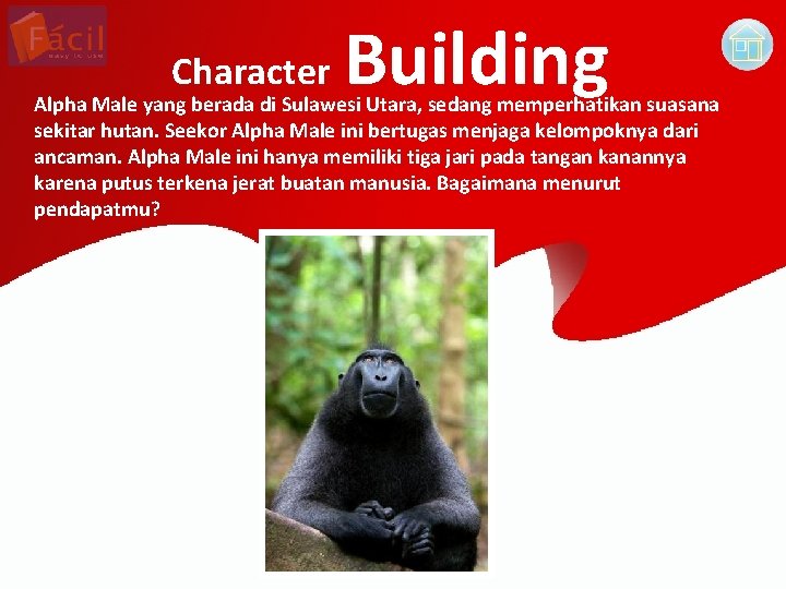 Character Building Alpha Male yang berada di Sulawesi Utara, sedang memperhatikan suasana sekitar hutan.