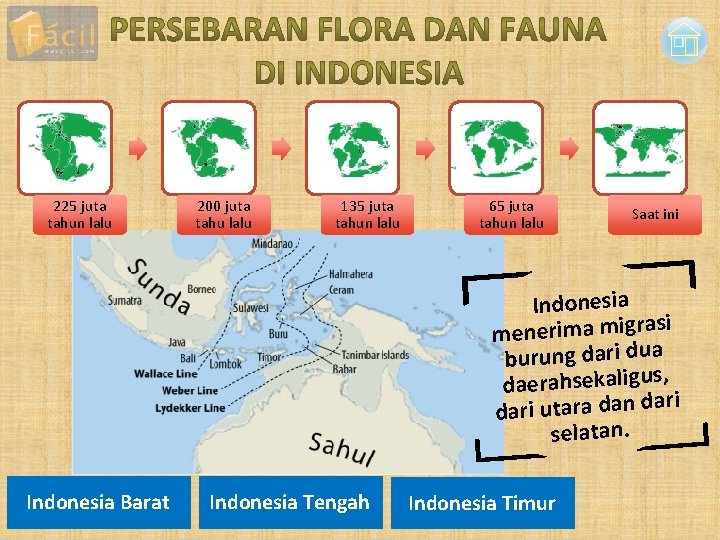 225 juta tahun lalu 200 juta tahu lalu 135 juta tahun lalu 65 juta