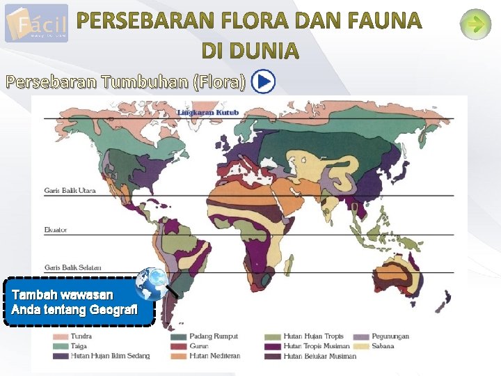 Persebaran Tumbuhan (Flora) Tambah wawasan Anda tentang Geografi 