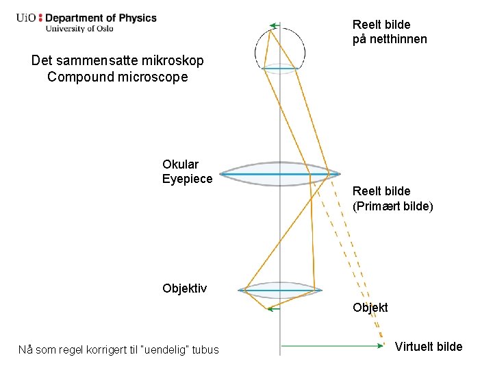 Reelt bilde på netthinnen Det sammensatte mikroskop Compound microscope Okular Eyepiece Reelt bilde (Primært