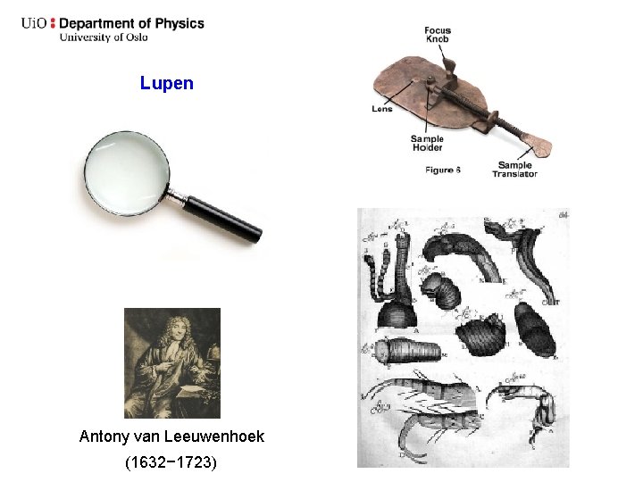 Lupen Antony van Leeuwenhoek (1632− 1723) 
