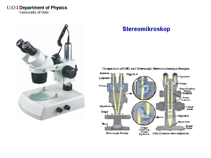 Stereomikroskop 