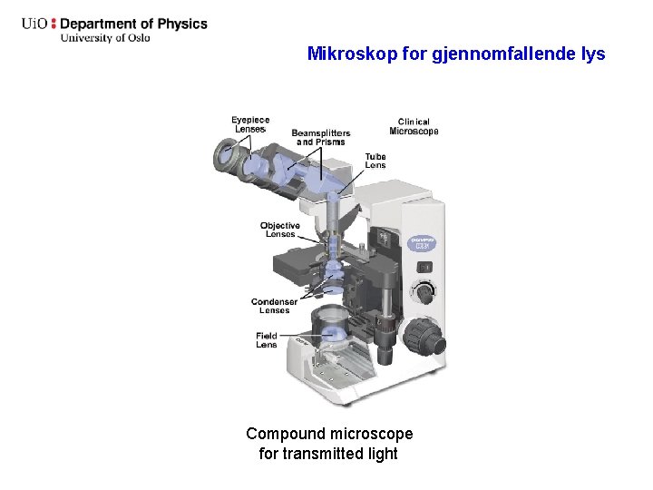 Mikroskop for gjennomfallende lys Compound microscope for transmitted light 