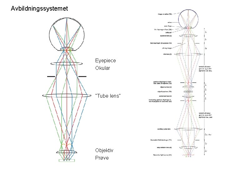 Avbildningssystemet Eyepiece Okular ”Tube lens” Objektiv Prøve 