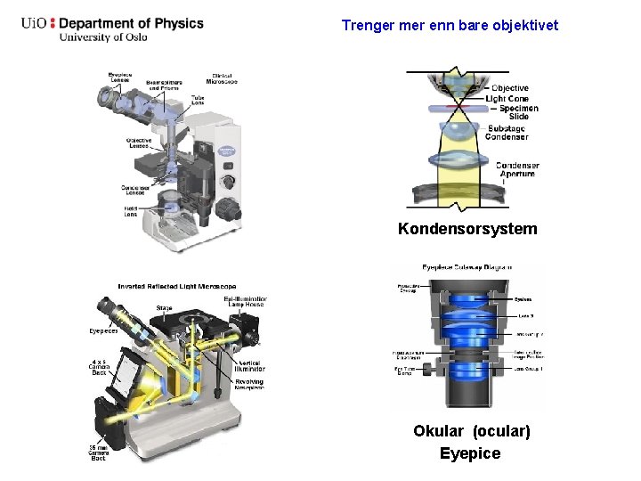 Trenger mer enn bare objektivet Kondensorsystem Okular (ocular) Eyepice 