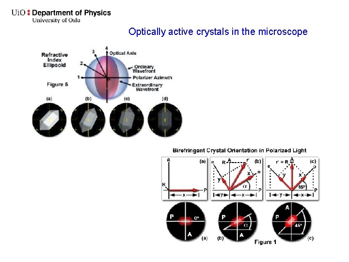 Optically active crystals in the microscope 