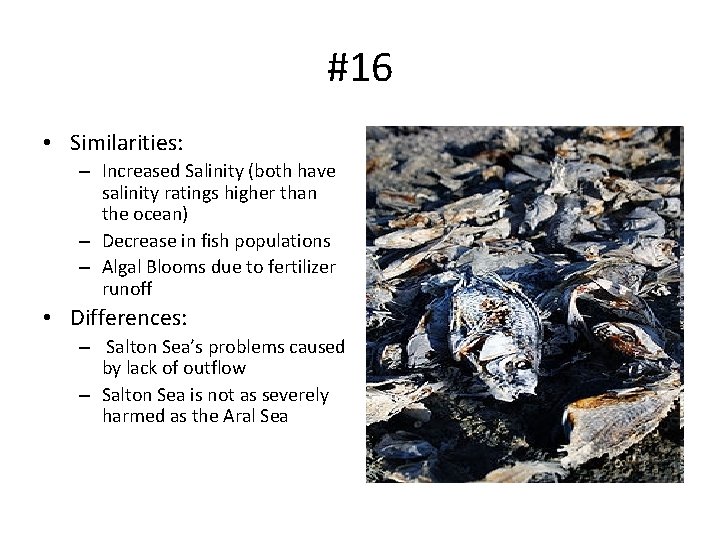 #16 • Similarities: – Increased Salinity (both have salinity ratings higher than the ocean)