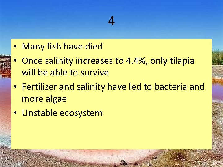 4 • Many fish have died • Once salinity increases to 4. 4%, only