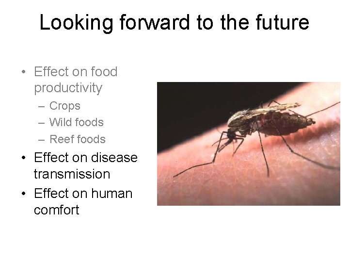 Looking forward to the future • Effect on food productivity – Crops – Wild