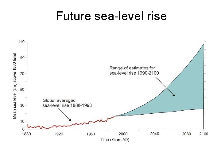 Future sea-level rise 