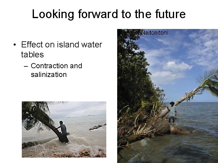 Looking forward to the future • Effect on island water tables – Contraction and