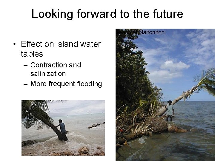 Looking forward to the future • Effect on island water tables – Contraction and