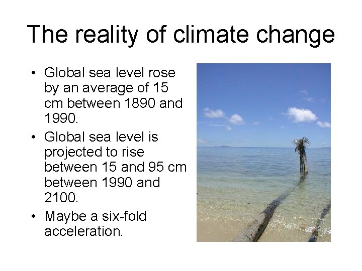 The reality of climate change • Global sea level rose by an average of