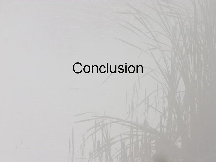 Conclusion 