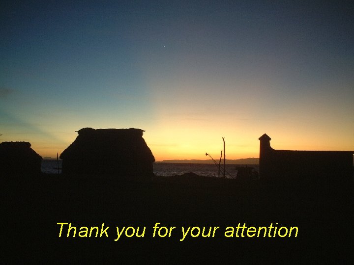 Thank you for your attention 