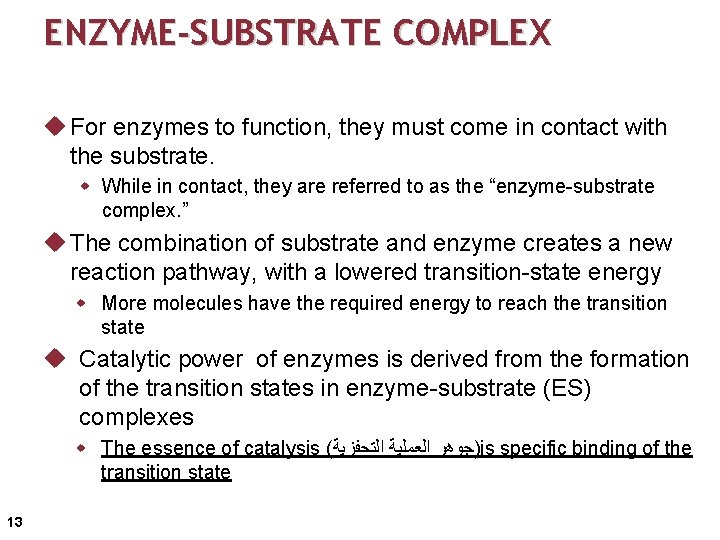 ENZYME-SUBSTRATE COMPLEX u For enzymes to function, they must come in contact with the