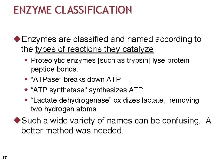 ENZYME CLASSIFICATION u. Enzymes are classified and named according to the types of reactions