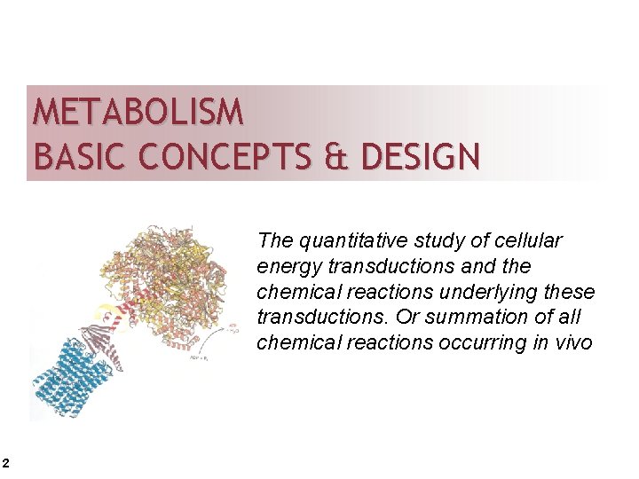 METABOLISM BASIC CONCEPTS & DESIGN The quantitative study of cellular energy transductions and the