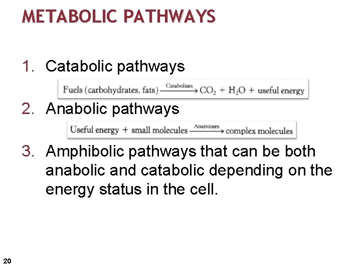 METABOLIC PATHWAYS 1. Catabolic pathways 2. Anabolic pathways 3. Amphibolic pathways that can be