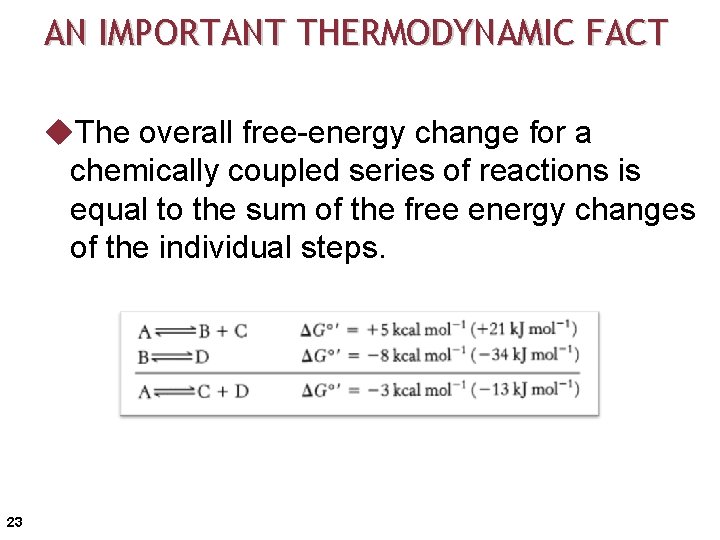 AN IMPORTANT THERMODYNAMIC FACT u. The overall free-energy change for a chemically coupled series