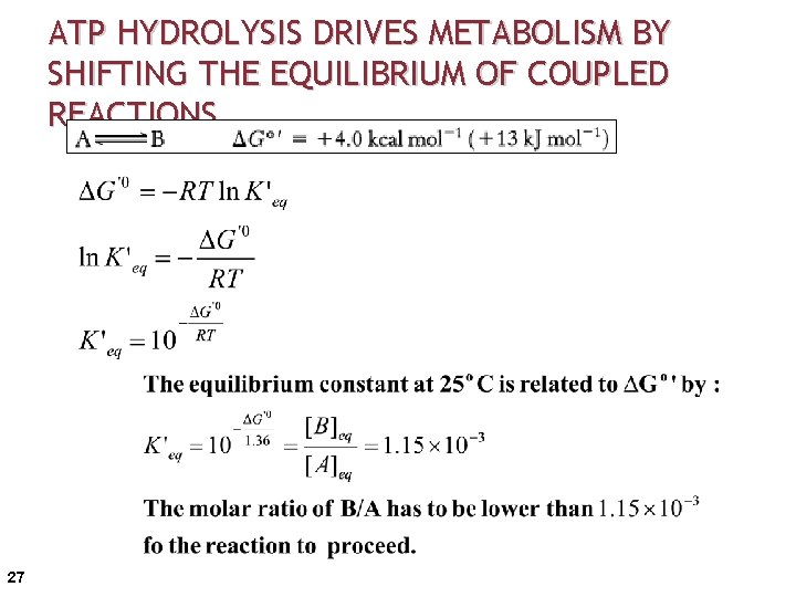 ATP HYDROLYSIS DRIVES METABOLISM BY SHIFTING THE EQUILIBRIUM OF COUPLED REACTIONS 27 