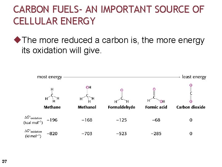 CARBON FUELS- AN IMPORTANT SOURCE OF CELLULAR ENERGY u. The more reduced a carbon