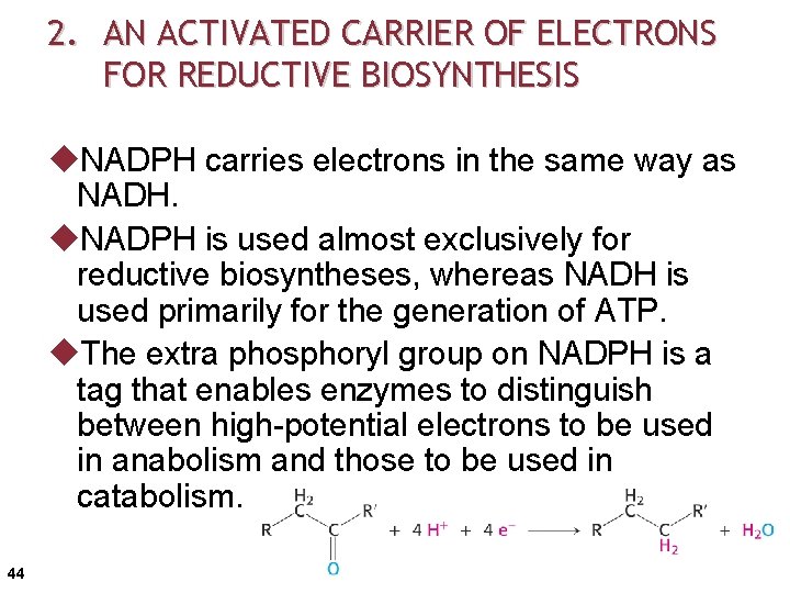 2. AN ACTIVATED CARRIER OF ELECTRONS FOR REDUCTIVE BIOSYNTHESIS u. NADPH carries electrons in