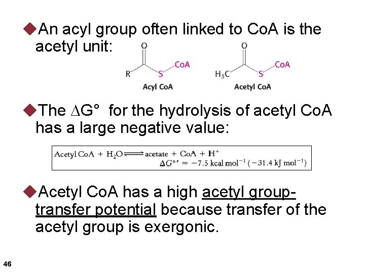 u. An acyl group often linked to Co. A is the acetyl unit: u.