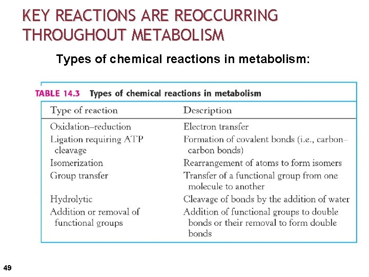 KEY REACTIONS ARE REOCCURRING THROUGHOUT METABOLISM Types of chemical reactions in metabolism: 49 