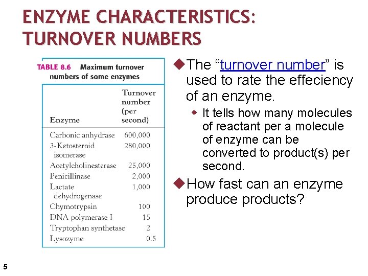 ENZYME CHARACTERISTICS: TURNOVER NUMBERS u. The “turnover number” is used to rate the effeciency