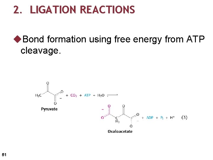 2. LIGATION REACTIONS u. Bond formation using free energy from ATP cleavage. 51 