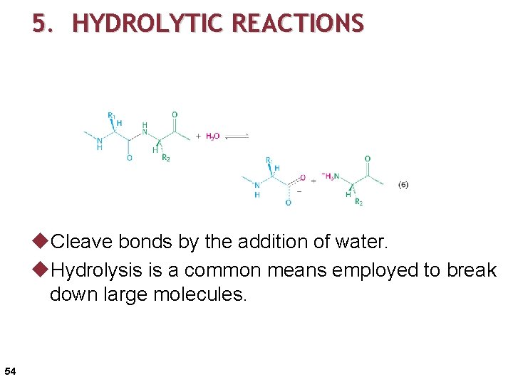 5. HYDROLYTIC REACTIONS u. Cleave bonds by the addition of water. u. Hydrolysis is