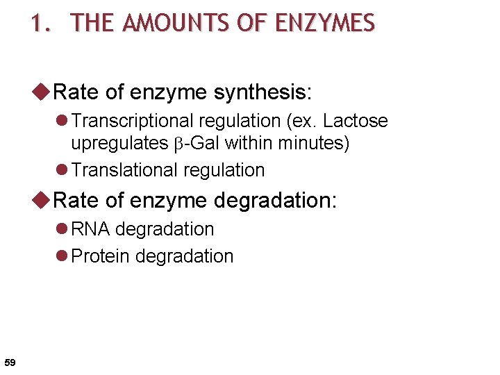 1. THE AMOUNTS OF ENZYMES u. Rate of enzyme synthesis: l Transcriptional regulation (ex.