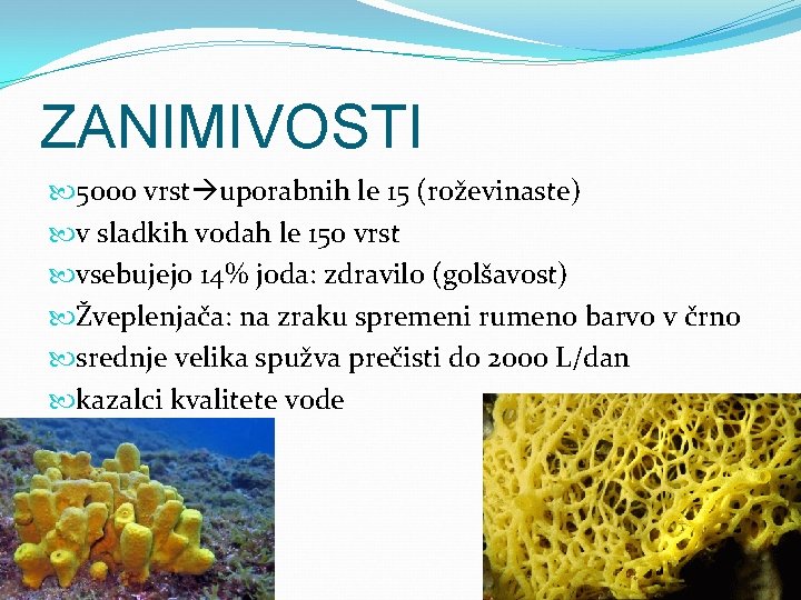 ZANIMIVOSTI 5000 vrst uporabnih le 15 (roževinaste) v sladkih vodah le 150 vrst vsebujejo