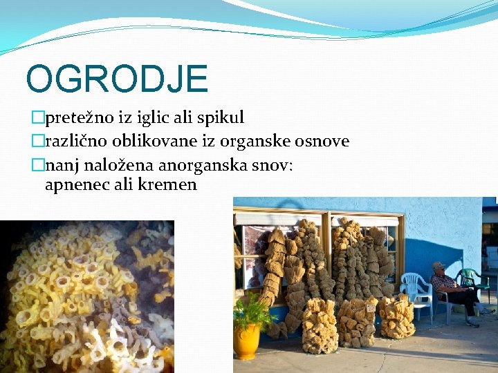 OGRODJE �pretežno iz iglic ali spikul �različno oblikovane iz organske osnove �nanj naložena anorganska
