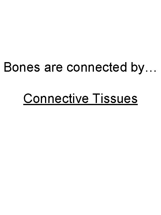 Bones are connected by… Connective Tissues 