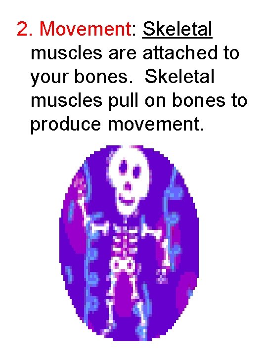 2. Movement: Skeletal muscles are attached to your bones. Skeletal muscles pull on bones