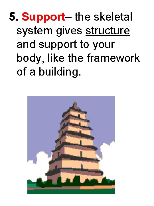 5. Support– the skeletal system gives structure and support to your body, like the