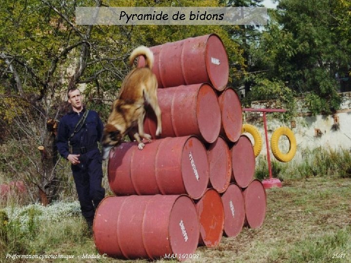 Pyramide de bidons Préformation cynotechnique - Module C MAJ 16/10/09 25/47 