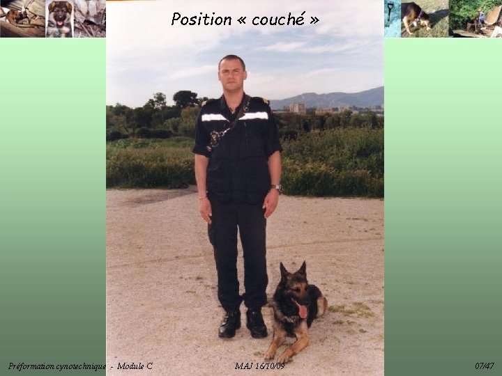 Position « couché » Préformation cynotechnique - Module C MAJ 16/10/09 07/47 