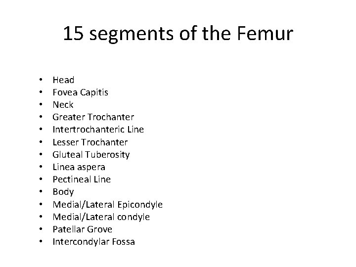 15 segments of the Femur • • • • Head Fovea Capitis Neck Greater