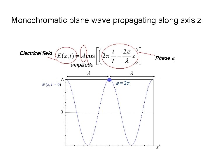 Monochromatic plane wave propagating along axis z Electrical field Phase j amplitude l l