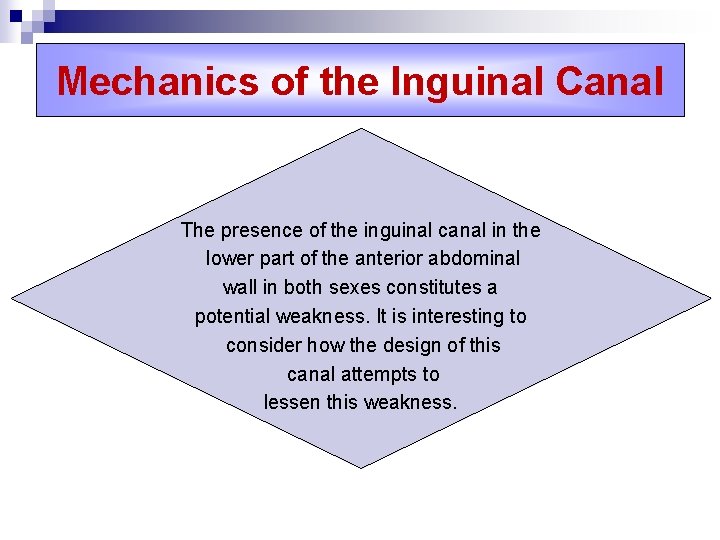 Mechanics of the Inguinal Canal The presence of the inguinal canal in the lower